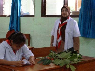 Praktek BiologI Monokotil Dan Dikotil